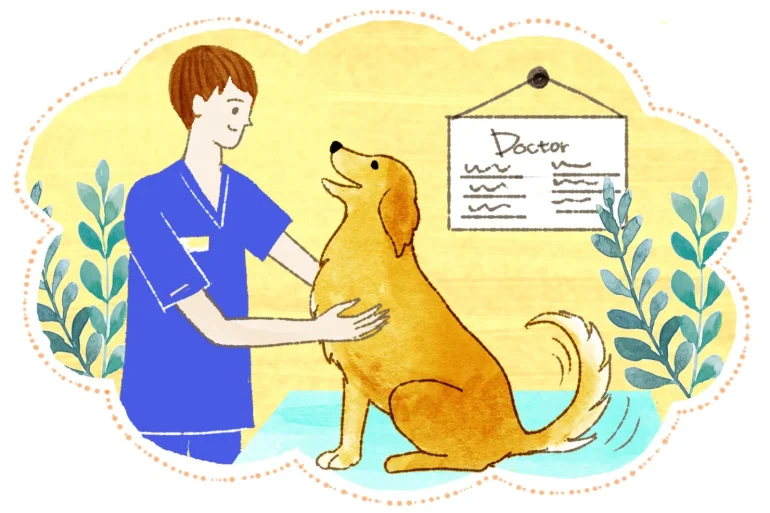 獣医さんが出てくると対人運アップ。ただし、夢の印象が悪いとトラブルの場合も。