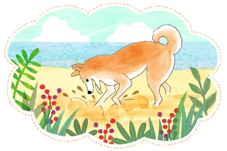 穴を掘っている夢は吉夢。