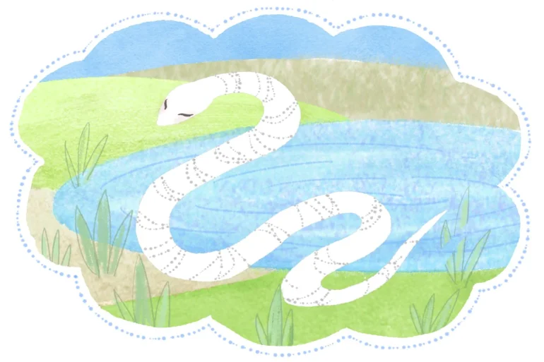 池の水が綺麗なら、安定している状態。