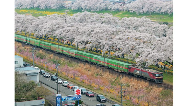 ブロックトレイン