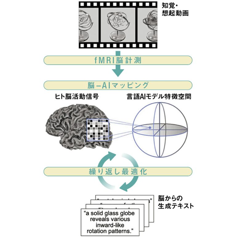 脳内情報がテキスト化されるまで