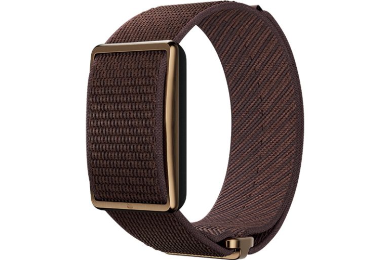 ポラール『POLAR Loop』