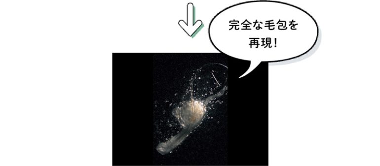 発毛器官を生体外で完全再現