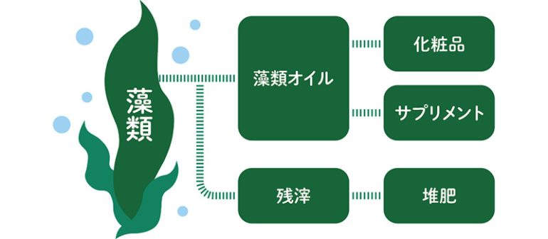 藻類バイオエコノミー