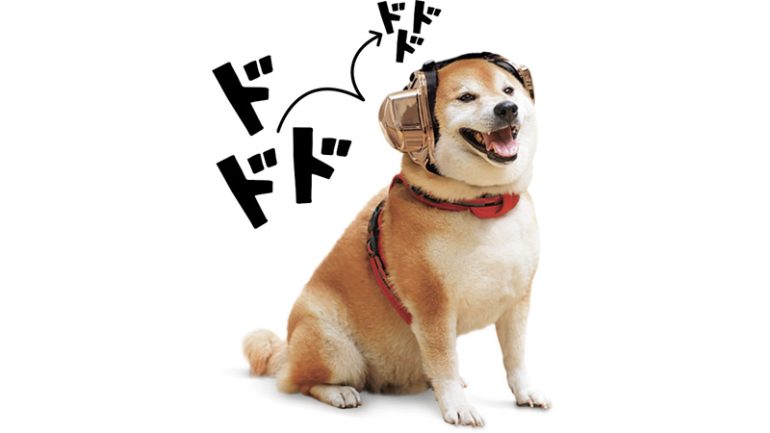 ゼロプラス『PetsEar 犬と猫用イヤーマフ - 金メッキ』