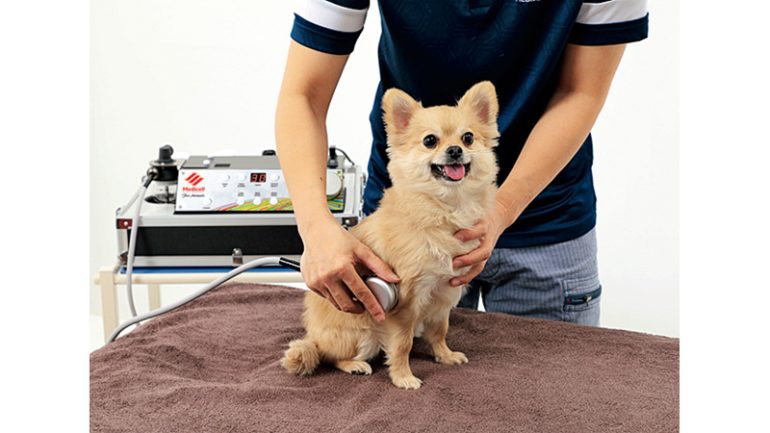 MJカンパニー『メディセル for PETs』