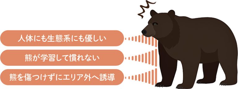 熊ソニック