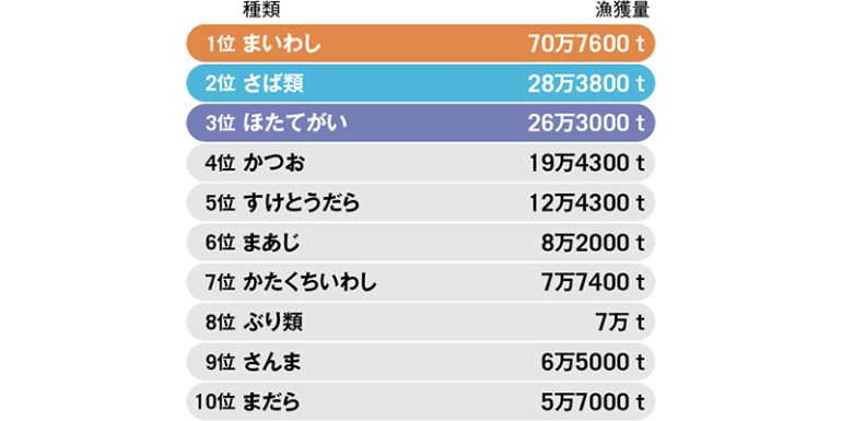 海面漁業主要魚種別の漁獲量ランキング