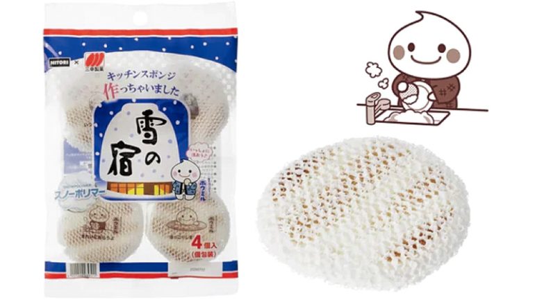 #せんべいそっくりなスポンジ